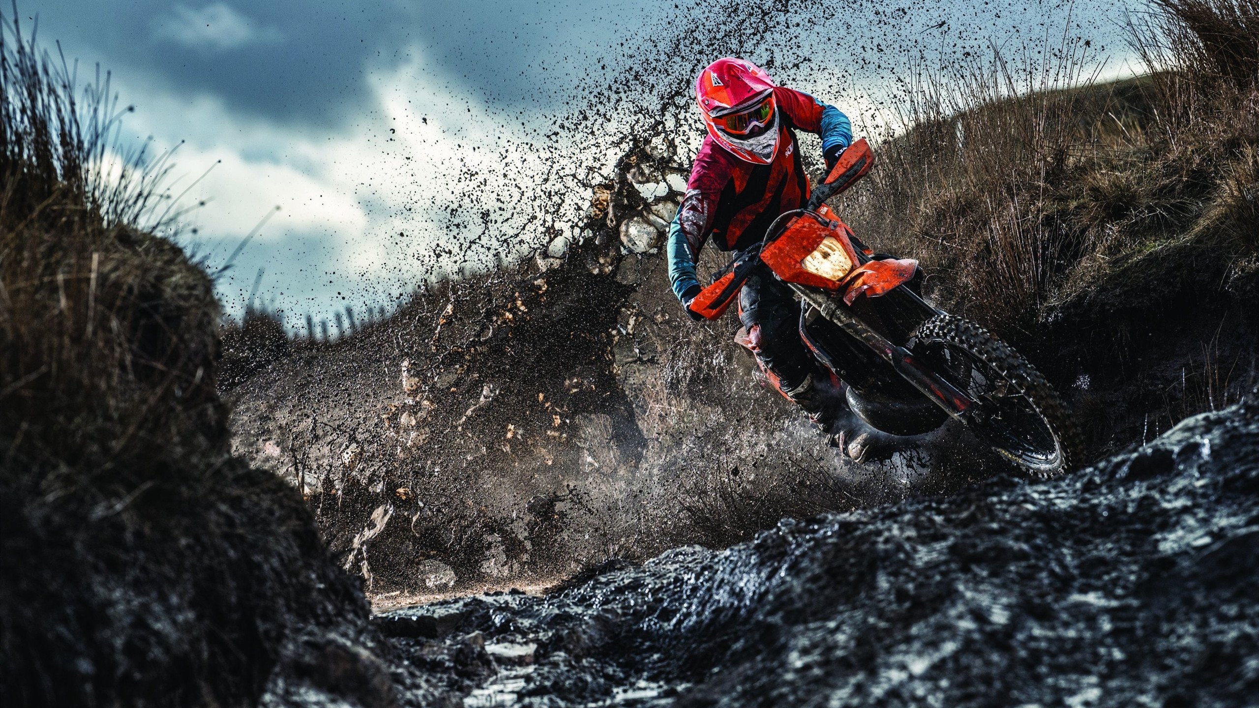 开云下载-欧冠半决赛焦点战，曼联硬仗取胜，喀麦隆雄狮昂首离场